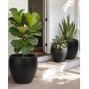 image:imagehomenote Flower Pots 1451296 InchLarge Plant Pots Indoor with DrainagePlastic Pots for PlantsGarden Pots for OutdoorLarge Planters for Indoor PlantsBig Plastic PlanterOffWhite3 PcsStyle 113 Pcs