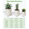 image:imagehomenote Flower Pots 1451296 InchLarge Plant Pots Indoor with DrainagePlastic Pots for PlantsGarden Pots for OutdoorLarge Planters for Indoor PlantsBig Plastic PlanterOffWhite3 PcsStyle 23 Pcs