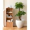 image:imagehomenote Flower Pots 1451296 InchLarge Plant Pots Indoor with DrainagePlastic Pots for PlantsGarden Pots for OutdoorLarge Planters for Indoor PlantsBig Plastic PlanterOffWhite3 PcsStyle 61 Pcs
