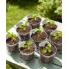 image:imagehomenote 345 Inch Clear Nursery Pots 18 Pack with Humidity DomesampPlant SaucersRigid Plastic Nursery Pots with DrainageTransparent Flower Pots for Seedlings360 Rotary VentIndoor Outdoor GardenWithout Humidity Domes
