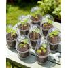 image:imagehomenote 345 Inch Clear Nursery Pots 18 Pack with Humidity DomesampPlant SaucersRigid Plastic Nursery Pots with DrainageTransparent Flower Pots for Seedlings360 Rotary VentIndoor Outdoor GardenWith Humidity Domes