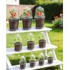image:imagehomenote 345 Inch Clear Nursery Pots 18 Pack with Humidity DomesampPlant SaucersRigid Plastic Nursery Pots with DrainageTransparent Flower Pots for Seedlings360 Rotary VentIndoor Outdoor GardenWith Humidity Domes