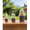 image:imagehomenote 345 Inch Clear Nursery Pots 18 Pack with Humidity DomesampPlant SaucersRigid Plastic Nursery Pots with DrainageTransparent Flower Pots for Seedlings360 Rotary VentIndoor Outdoor GardenWith Humidity Domes
