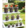image:imagehomenote 345 Inch Clear Nursery Pots 18 Pack with Humidity DomesampPlant SaucersRigid Plastic Nursery Pots with DrainageTransparent Flower Pots for Seedlings360 Rotary VentIndoor Outdoor GardenWithout Humidity Domes