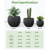 image:imagehomenote Flower Pots 1311510 InchLarge Plant Pots Indoor with DrainagePlastic Pots for PlantsGarden Pots for OutdoorLarge Planters for Indoor PlantsBig Plastic PlanterBlack3 PcsStyle 93 Pcs