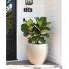 image:imagehomenote Flower Pots 1311510 InchLarge Plant Pots Indoor with DrainagePlastic Pots for PlantsGarden Pots for OutdoorLarge Planters for Indoor PlantsBig Plastic PlanterBlack3 PcsStyle 61 Pcs
