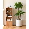 image:imagehomenote Flower Pots 1311510 InchLarge Plant Pots Indoor with DrainagePlastic Pots for PlantsGarden Pots for OutdoorLarge Planters for Indoor PlantsBig Plastic PlanterBlack3 PcsStyle 51 Pcs