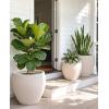 image:imagehomenote Flower Pots 1311510 InchLarge Plant Pots Indoor with DrainagePlastic Pots for PlantsGarden Pots for OutdoorLarge Planters for Indoor PlantsBig Plastic PlanterBlack3 PcsStyle 33 Pcs