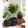 image:imagehomenote Flower Pots 1311510 InchLarge Plant Pots Indoor with DrainagePlastic Pots for PlantsGarden Pots for OutdoorLarge Planters for Indoor PlantsBig Plastic PlanterBlack3 PcsStyle 93 Pcs