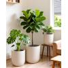 image:imagehomenote Flower Pots 1311510 InchLarge Plant Pots Indoor with DrainagePlastic Pots for PlantsGarden Pots for OutdoorLarge Planters for Indoor PlantsBig Plastic PlanterBlack3 PcsStyle 13 Pcs
