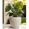 image:imagehomenote Flower Pots 1311510 InchLarge Plant Pots Indoor with DrainagePlastic Pots for PlantsGarden Pots for OutdoorLarge Planters for Indoor PlantsBig Plastic PlanterBlack3 PcsStyle 61 Pcs