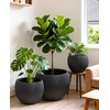 image:imagehomenote Flower Pots 1451297 InchLarge Plant Pots Indoor with DrainagePlastic Pots for PlantsGarden Pots for OutdoorLarge Planters for Indoor PlantsBig Plastic Planter3 PcsStyle 123 Pcs