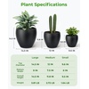image:imagehomenote Flower Pots 1451297 InchLarge Plant Pots Indoor with DrainagePlastic Pots for PlantsGarden Pots for OutdoorLarge Planters for Indoor PlantsBig Plastic Planter3 PcsStyle 113 Pcs