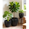 image:imagehomenote Flower Pots 1451297 InchLarge Plant Pots Indoor with DrainagePlastic Pots for PlantsGarden Pots for OutdoorLarge Planters for Indoor PlantsBig Plastic Planter3 PcsStyle 113 Pcs