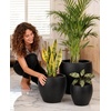 image:imagehomenote Flower Pots 1451297 InchLarge Plant Pots Indoor with DrainagePlastic Pots for PlantsGarden Pots for OutdoorLarge Planters for Indoor PlantsBig Plastic Planter3 PcsStyle 113 Pcs