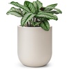 image:imagehomenote Flower Pots 13210585 InchLarge Plant Pots Indoor with DrainagePlastic Pots for PlantsGarden Pots for OutdoorLarge Planters for Indoor PlantsBig Plastic PlanterBlack3 PcsStyle 41 Pcs