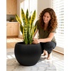 image:imagehomenote Flower Pots 13210585 InchLarge Plant Pots Indoor with DrainagePlastic Pots for PlantsGarden Pots for OutdoorLarge Planters for Indoor PlantsBig Plastic PlanterBlack3 PcsStyle 81 Pcs