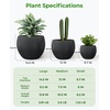 image:imagehomenote Flower Pots 13210585 InchLarge Plant Pots Indoor with DrainagePlastic Pots for PlantsGarden Pots for OutdoorLarge Planters for Indoor PlantsBig Plastic PlanterBlack3 PcsStyle 123 Pcs
