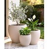 image:imagehomenote Flower Pots 13210585 InchLarge Plant Pots Indoor with DrainagePlastic Pots for PlantsGarden Pots for OutdoorLarge Planters for Indoor PlantsBig Plastic PlanterBlack3 PcsStyle 33 Pcs
