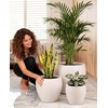 image:imagehomenote Flower Pots 13210585 InchLarge Plant Pots Indoor with DrainagePlastic Pots for PlantsGarden Pots for OutdoorLarge Planters for Indoor PlantsBig Plastic PlanterBlack3 PcsStyle 33 Pcs