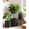 image:imagehomenote Flower Pots 13210585 InchLarge Plant Pots Indoor with DrainagePlastic Pots for PlantsGarden Pots for OutdoorLarge Planters for Indoor PlantsBig Plastic PlanterBlack3 PcsStyle 103 Pcs