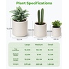 image:imagehomenote Flower Pots 13210585 InchLarge Plant Pots Indoor with DrainagePlastic Pots for PlantsGarden Pots for OutdoorLarge Planters for Indoor PlantsBig Plastic PlanterBlack3 PcsStyle 23 Pcs