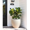 image:imagehomenote Flower Pots 13210585 InchLarge Plant Pots Indoor with DrainagePlastic Pots for PlantsGarden Pots for OutdoorLarge Planters for Indoor PlantsBig Plastic PlanterBlack3 PcsStyle 61 Pcs