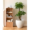 image:imagehomenote Flower Pots 13210585 InchLarge Plant Pots Indoor with DrainagePlastic Pots for PlantsGarden Pots for OutdoorLarge Planters for Indoor PlantsBig Plastic PlanterBlack3 PcsStyle 61 Pcs