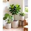 image:imagehomenote Flower Pots 13210585 InchLarge Plant Pots Indoor with DrainagePlastic Pots for PlantsGarden Pots for OutdoorLarge Planters for Indoor PlantsBig Plastic PlanterBlack3 PcsStyle 23 Pcs