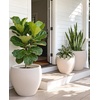 image:imagehomenote Flower Pots 13210585 InchLarge Plant Pots Indoor with DrainagePlastic Pots for PlantsGarden Pots for OutdoorLarge Planters for Indoor PlantsBig Plastic PlanterBlack3 PcsStyle 33 Pcs