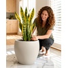 image:imagehomenote Flower Pots 13210585 InchLarge Plant Pots Indoor with DrainagePlastic Pots for PlantsGarden Pots for OutdoorLarge Planters for Indoor PlantsBig Plastic PlanterBlack3 PcsStyle 61 Pcs