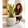image:imagehomenote Flower Pots 13210585 InchLarge Plant Pots Indoor with DrainagePlastic Pots for PlantsGarden Pots for OutdoorLarge Planters for Indoor PlantsBig Plastic PlanterBlack3 PcsStyle 71 Pcs