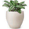 image:imagehomenote Flower Pots 13210585 InchLarge Plant Pots Indoor with DrainagePlastic Pots for PlantsGarden Pots for OutdoorLarge Planters for Indoor PlantsBig Plastic PlanterBlack3 PcsStyle 61 Pcs