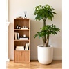 image:imagehomenote Flower Pots 13210585 InchLarge Plant Pots Indoor with DrainagePlastic Pots for PlantsGarden Pots for OutdoorLarge Planters for Indoor PlantsBig Plastic PlanterBlack3 PcsStyle 41 Pcs