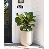 image:imagehomenote Flower Pots 13210585 InchLarge Plant Pots Indoor with DrainagePlastic Pots for PlantsGarden Pots for OutdoorLarge Planters for Indoor PlantsBig Plastic PlanterBlack3 PcsStyle 41 Pcs