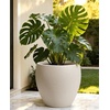 image:imagehomenote Flower Pots 13210585 InchLarge Plant Pots Indoor with DrainagePlastic Pots for PlantsGarden Pots for OutdoorLarge Planters for Indoor PlantsBig Plastic PlanterBlack3 PcsStyle 61 Pcs