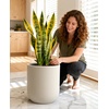 image:imagehomenote Flower Pots 13210585 InchLarge Plant Pots Indoor with DrainagePlastic Pots for PlantsGarden Pots for OutdoorLarge Planters for Indoor PlantsBig Plastic PlanterBlack3 PcsStyle 41 Pcs