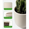 image:imagehomenote Flower Pots 13210585 InchLarge Plant Pots Indoor with DrainagePlastic Pots for PlantsGarden Pots for OutdoorLarge Planters for Indoor PlantsBig Plastic PlanterBlack3 PcsStyle 13 Pcs