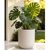 image:imagehomenote Flower Pots 13210585 InchLarge Plant Pots Indoor with DrainagePlastic Pots for PlantsGarden Pots for OutdoorLarge Planters for Indoor PlantsBig Plastic PlanterBlack3 PcsStyle 41 Pcs