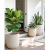 image:imagehomenote Flower Pots 13210585 InchLarge Plant Pots Indoor with DrainagePlastic Pots for PlantsGarden Pots for OutdoorLarge Planters for Indoor PlantsBig Plastic PlanterBlack3 PcsStyle 13 Pcs