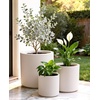 image:imagehomenote Flower Pots 13210585 InchLarge Plant Pots Indoor with DrainagePlastic Pots for PlantsGarden Pots for OutdoorLarge Planters for Indoor PlantsBig Plastic PlanterBlack3 PcsStyle 23 Pcs