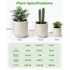 image:imagehomenote Flower Pots 13210585 InchLarge Plant Pots Indoor with DrainagePlastic Pots for PlantsGarden Pots for OutdoorLarge Planters for Indoor PlantsBig Plastic PlanterBlack3 PcsStyle 13 Pcs
