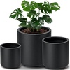 Style 10（3 Pcs）