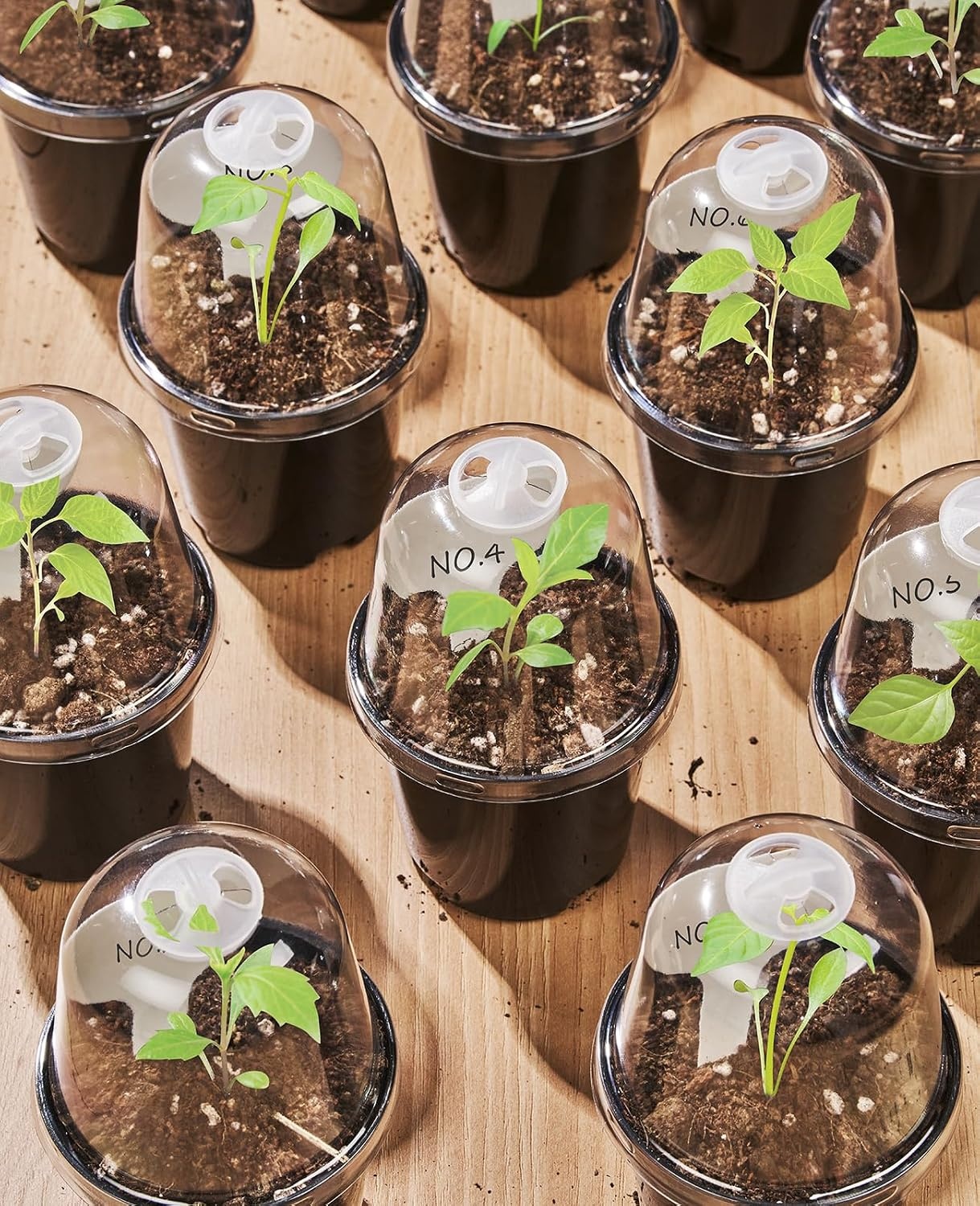 image:imagehomenote 34 Inch Clear Nursery Pots with Drainage Holes and Tags 20 Pcs  Reusable plastic planters have raised bases for airflow and transplanting ideal for seed starting cuttings and succulentsBlackwith Lid