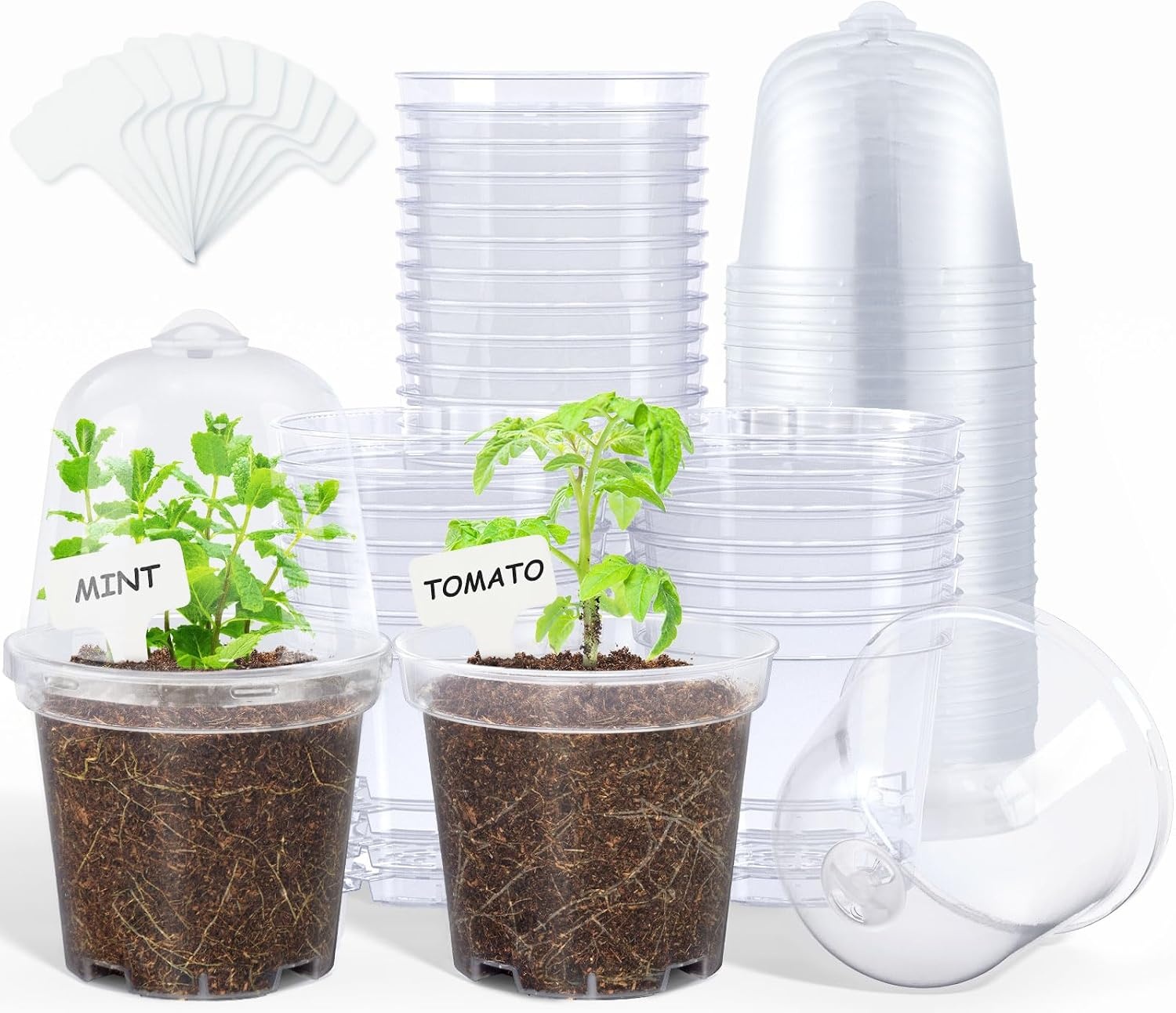image:imagehomenote 34 Inch Clear Nursery Pots with Drainage Holes and Tags 20 Pcs  Reusable plastic planters have raised bases for airflow and transplanting ideal for seed starting cuttings and succulentsTransparencywith Lid