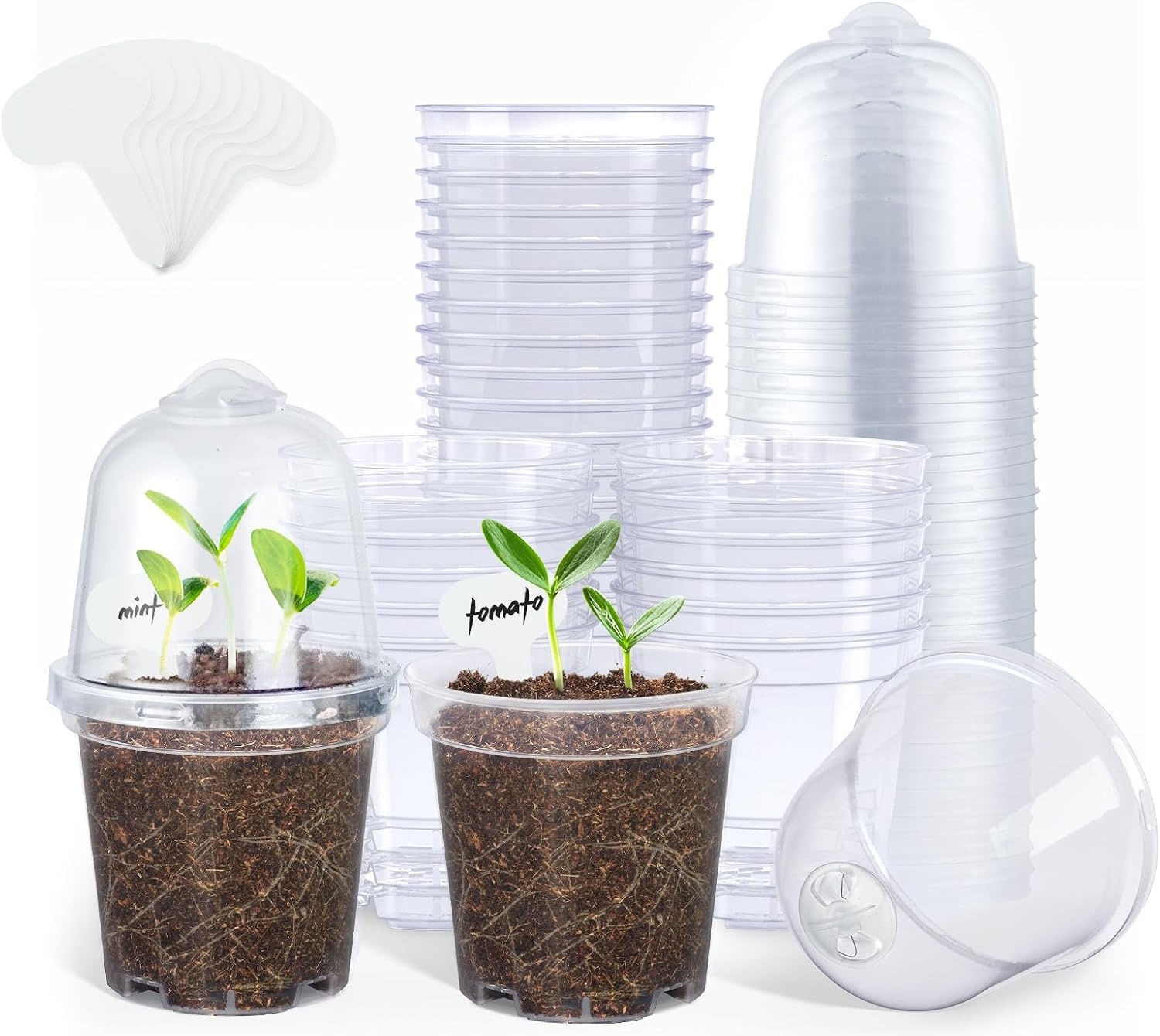 image:imagehomenote 34 Inch Clear Nursery Pots with Drainage Holes and Tags 20 Pcs  Reusable plastic planters have raised bases for airflow and transplanting ideal for seed starting cuttings and succulentsTransparencywith Lid