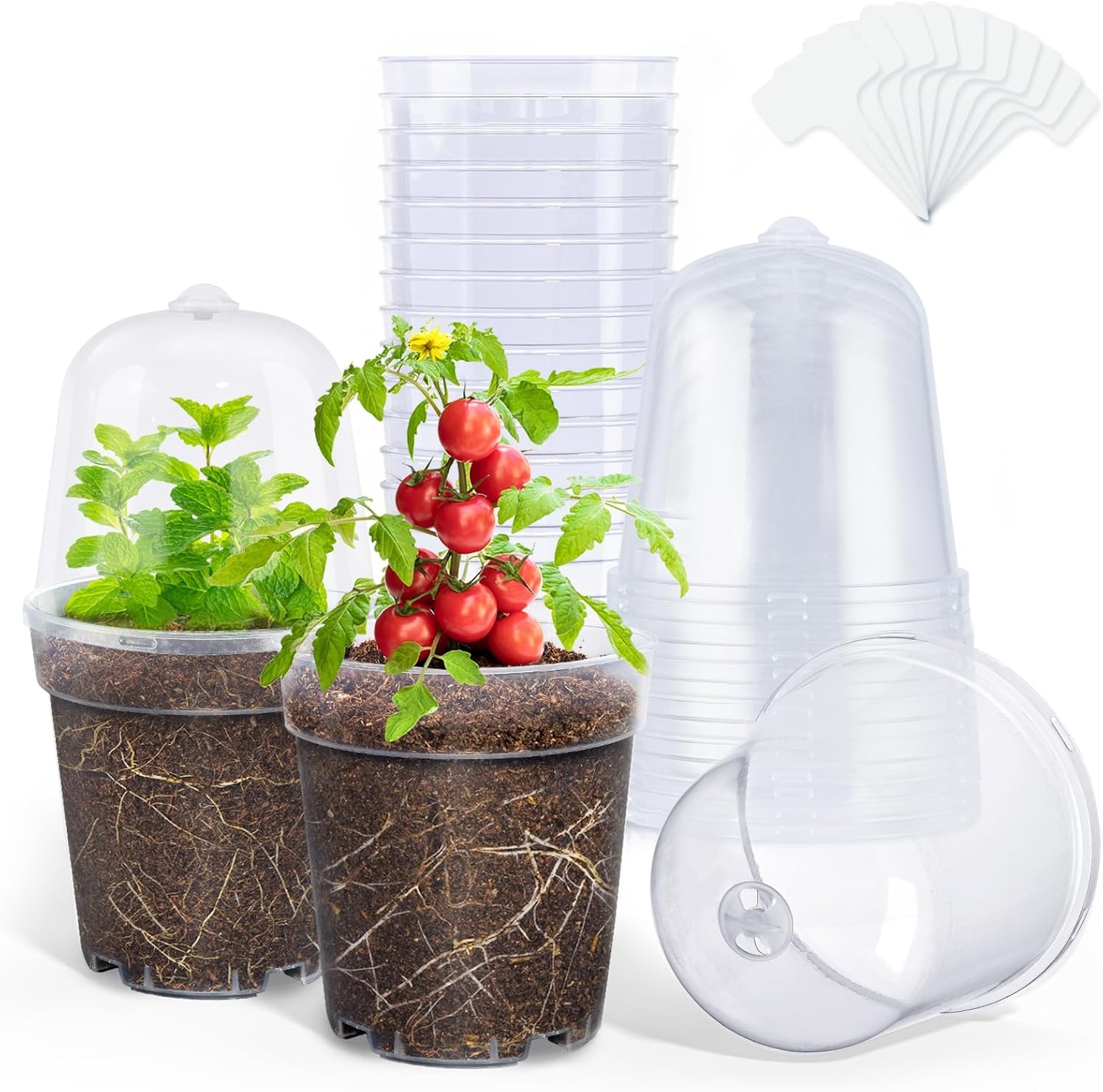 image:imagehomenote 34 Inch Clear Nursery Pots with Drainage Holes and Tags 20 Pcs  Reusable plastic planters have raised bases for airflow and transplanting ideal for seed starting cuttings and succulentsTransparencywith Lid