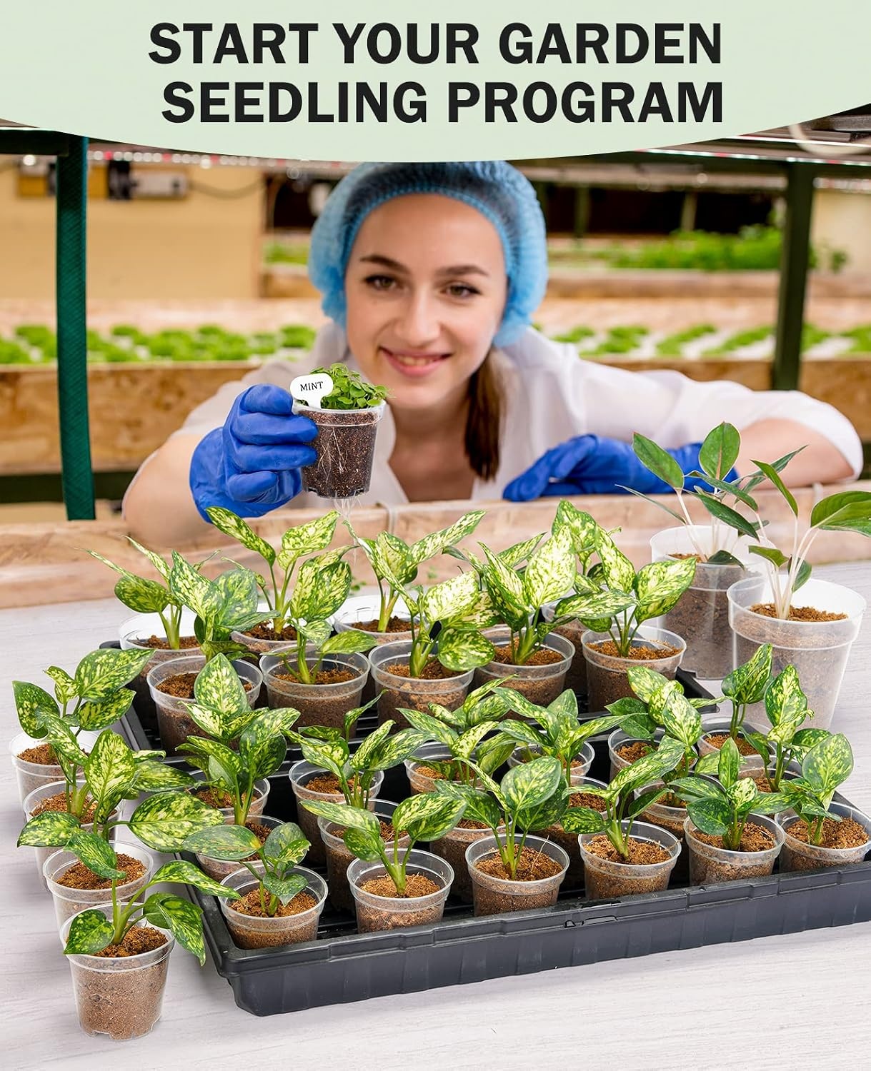 image:imagehomenote 34 Inch Clear Nursery Pots with Drainage Holes and Tags 20 Pcs  Reusable plastic planters have raised bases for airflow and transplanting ideal for seed starting cuttings and succulentsClear