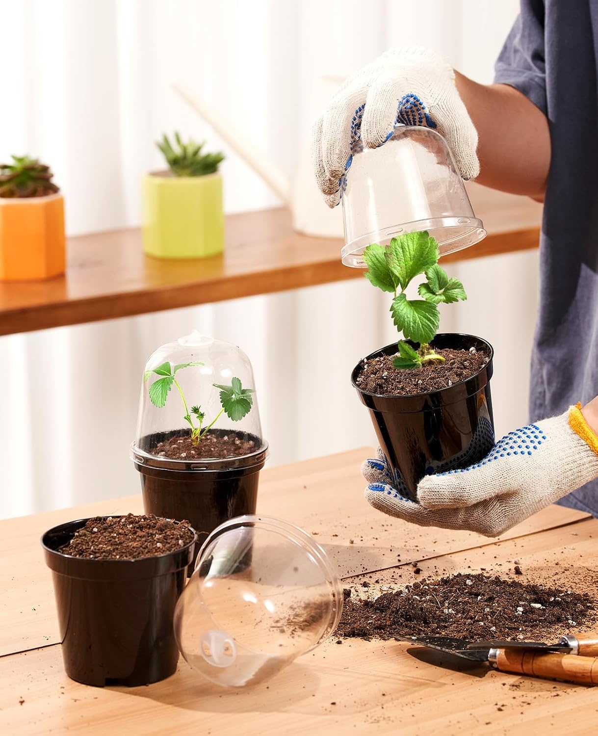 image:imagehomenote 34 Inch Clear Nursery Pots with Drainage Holes and Tags 20 Pcs  Reusable plastic planters have raised bases for airflow and transplanting ideal for seed starting cuttings and succulentsBlackwith Lid