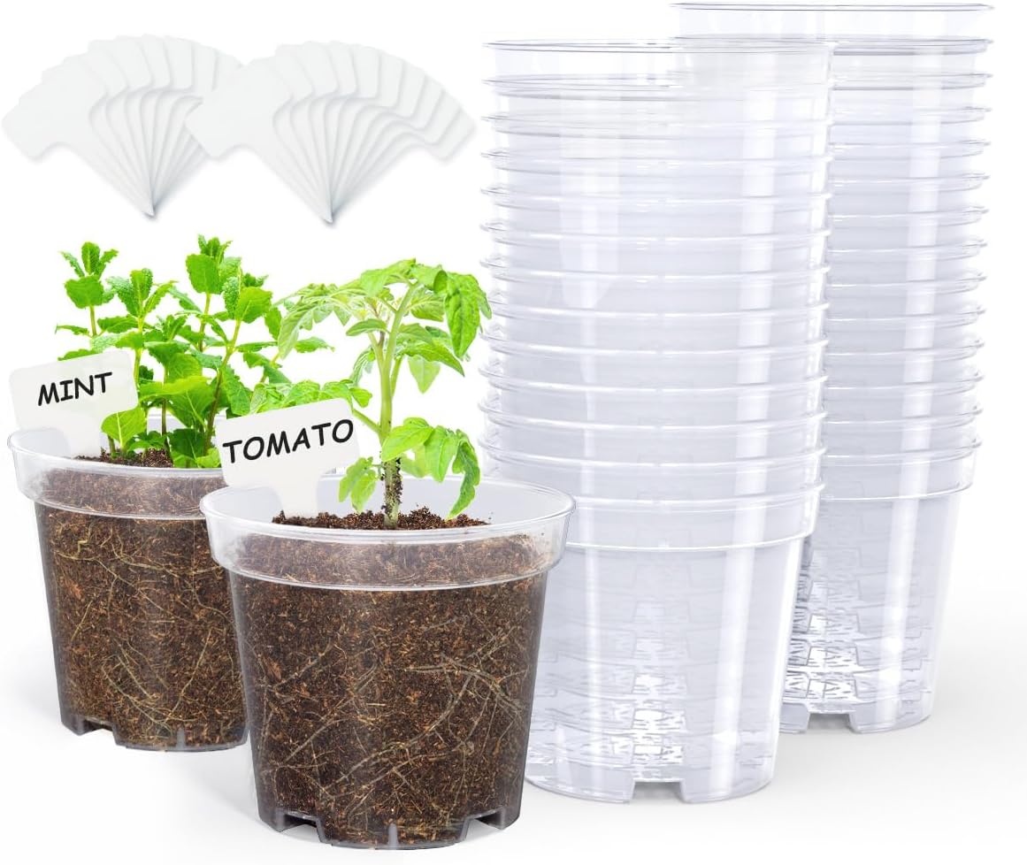 image:imagehomenote 34 Inch Clear Nursery Pots with Drainage Holes and Tags 20 Pcs  Reusable plastic planters have raised bases for airflow and transplanting ideal for seed starting cuttings and succulentsTransparencyno Lid